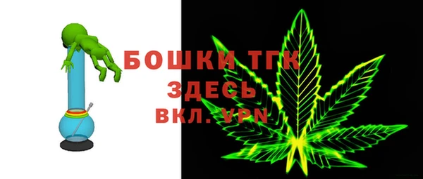 СК Бородино