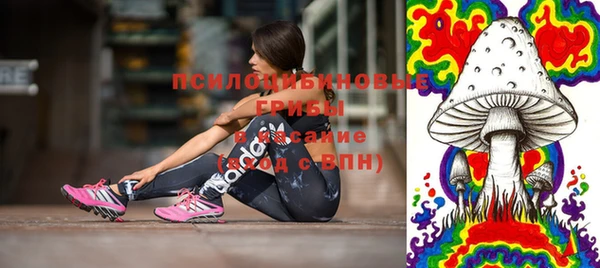 СК Бородино